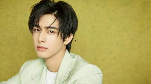 娱乐吃瓜酱宋威龙,娱乐吃瓜酱中的璀璨明星